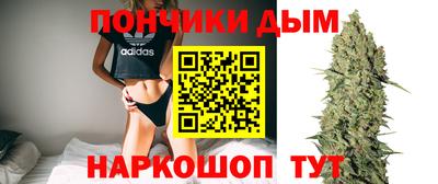 Альфа ПВП Бердск