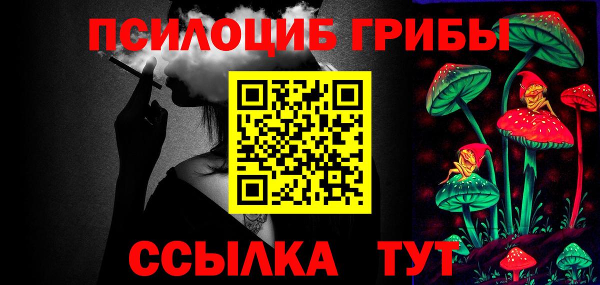 Псилоцибиновые грибы прущие грибы Ачхой-Мартан